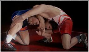 Wrestle